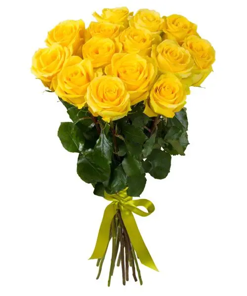 Yellow Roses