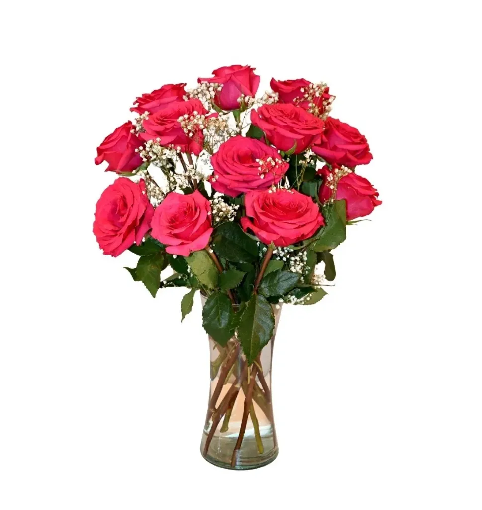 Hot Pink Roses
